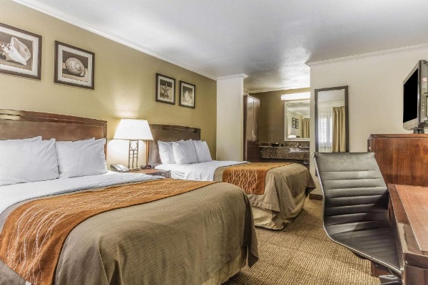 Comfort Inn Santa Cruz image 10