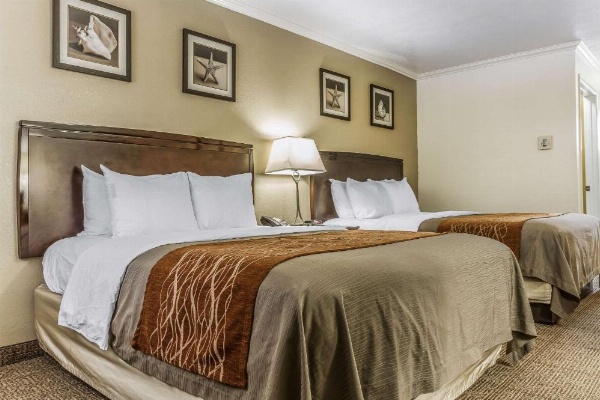 Comfort Inn Santa Cruz image 9